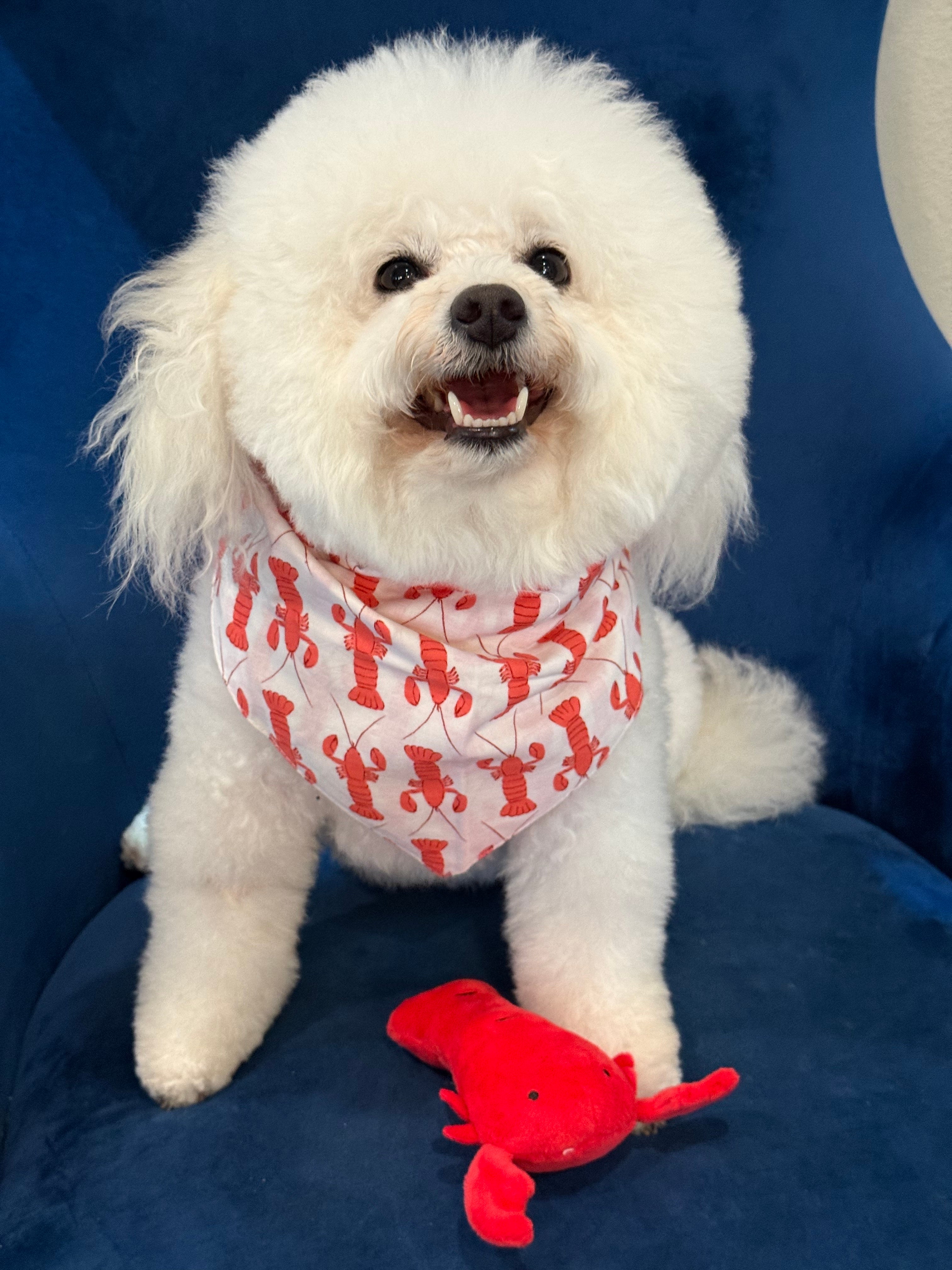 The Paws Lobstah Dog Bandana