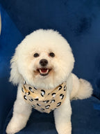 The Paws Urban Dog & Cat Bandana, Beige