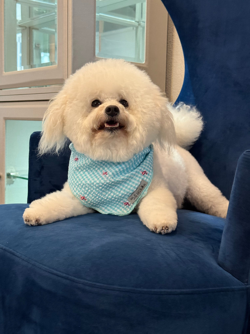 The Worthy Dog Gingham Flamingos Dog Bandana, Aqua