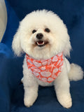 The Paws Flores Dog Bandana
