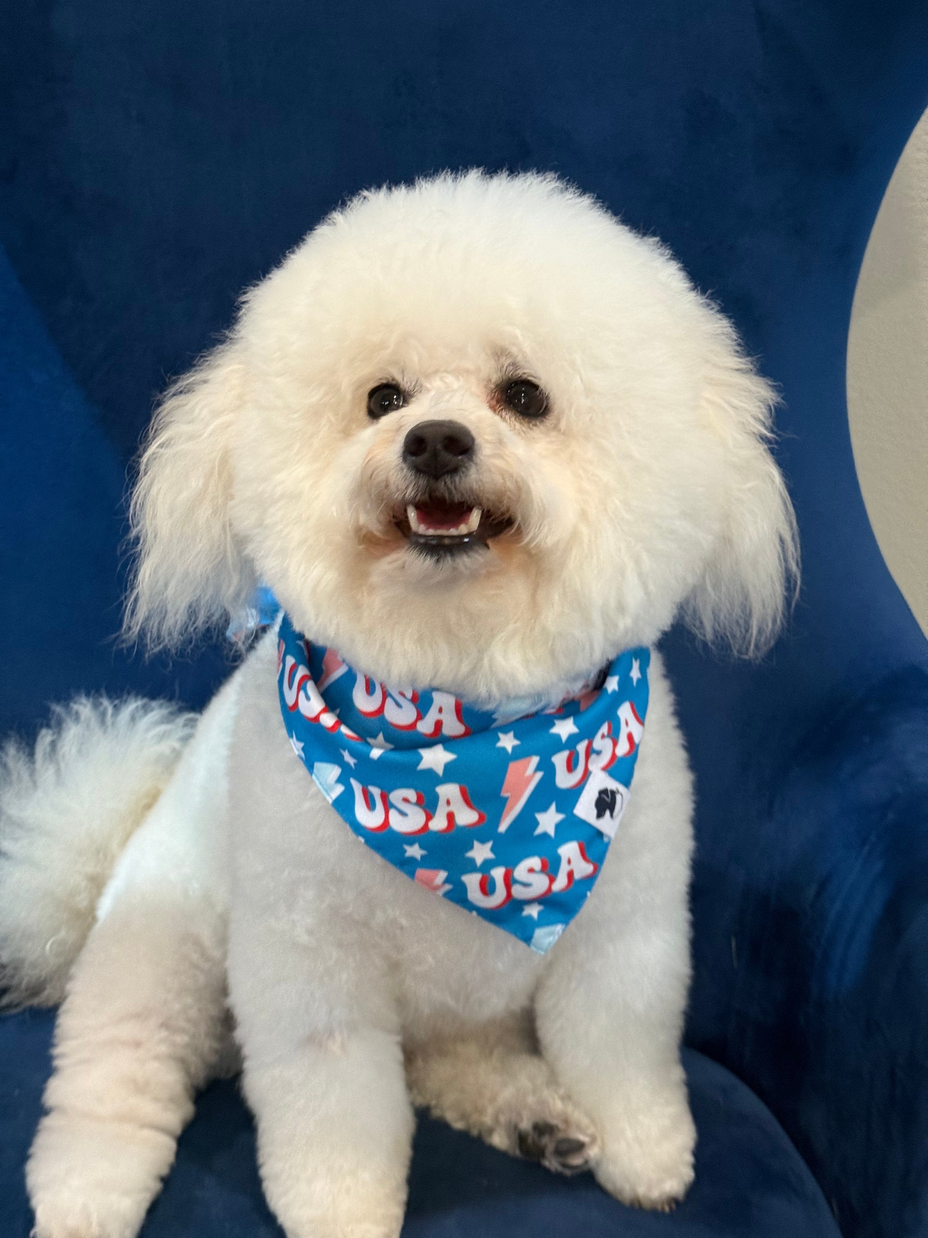 Dog Bandana Co. USA Dog Bandana