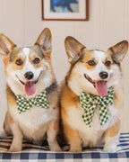 Paw Party Green Gingham Bow Tie