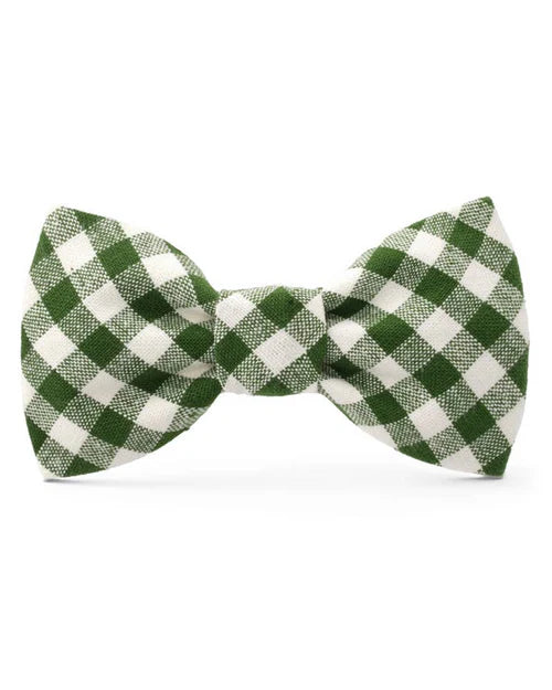 Paw Party Green Gingham Bow Tie