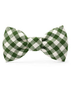 Paw Party Green Gingham Bow Tie