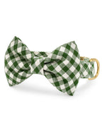 Paw Party Green Gingham Bow Tie