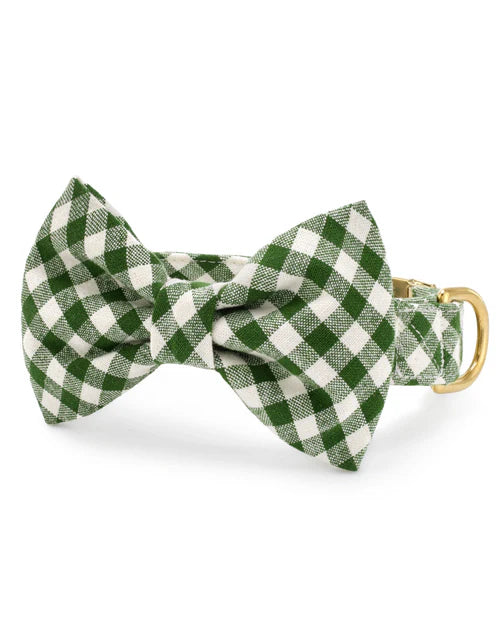 Paw Party Green Gingham Bow Tie