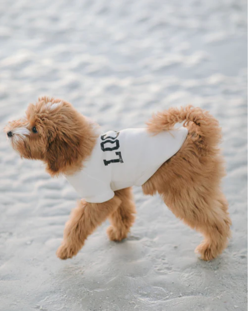 Local Legend Ivory Dog Sweatshirt