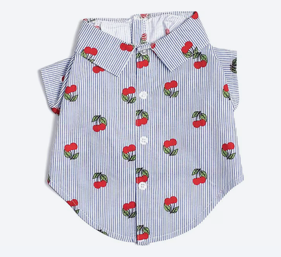 The Worthy Dog Cherries Dog Shirt, Blue/White