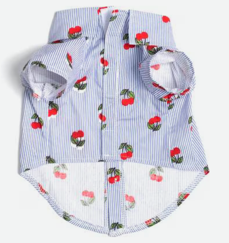 The Worthy Dog Cherries Dog Shirt, Blue/White