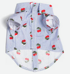 The Worthy Dog Cherries Dog Shirt, Blue/White