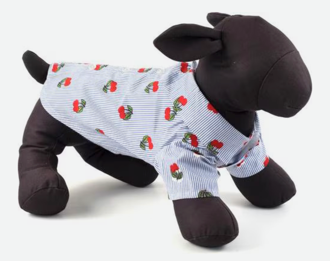 The Worthy Dog Cherries Dog Shirt, Blue/White