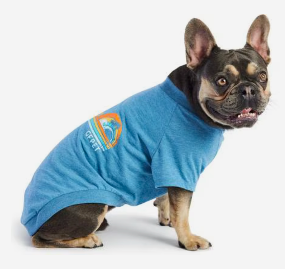 GF Pet Graphic Dog T-Shirt, Blue