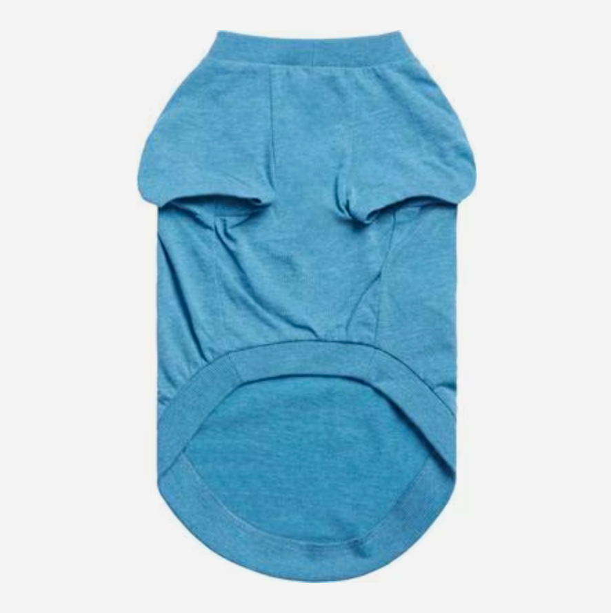 GF Pet Graphic Dog T-Shirt, Blue