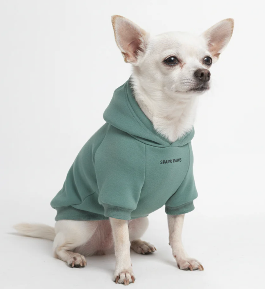 Essential Dog Hoodie - Teal