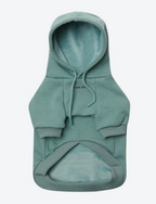 Essential Dog Hoodie - Teal