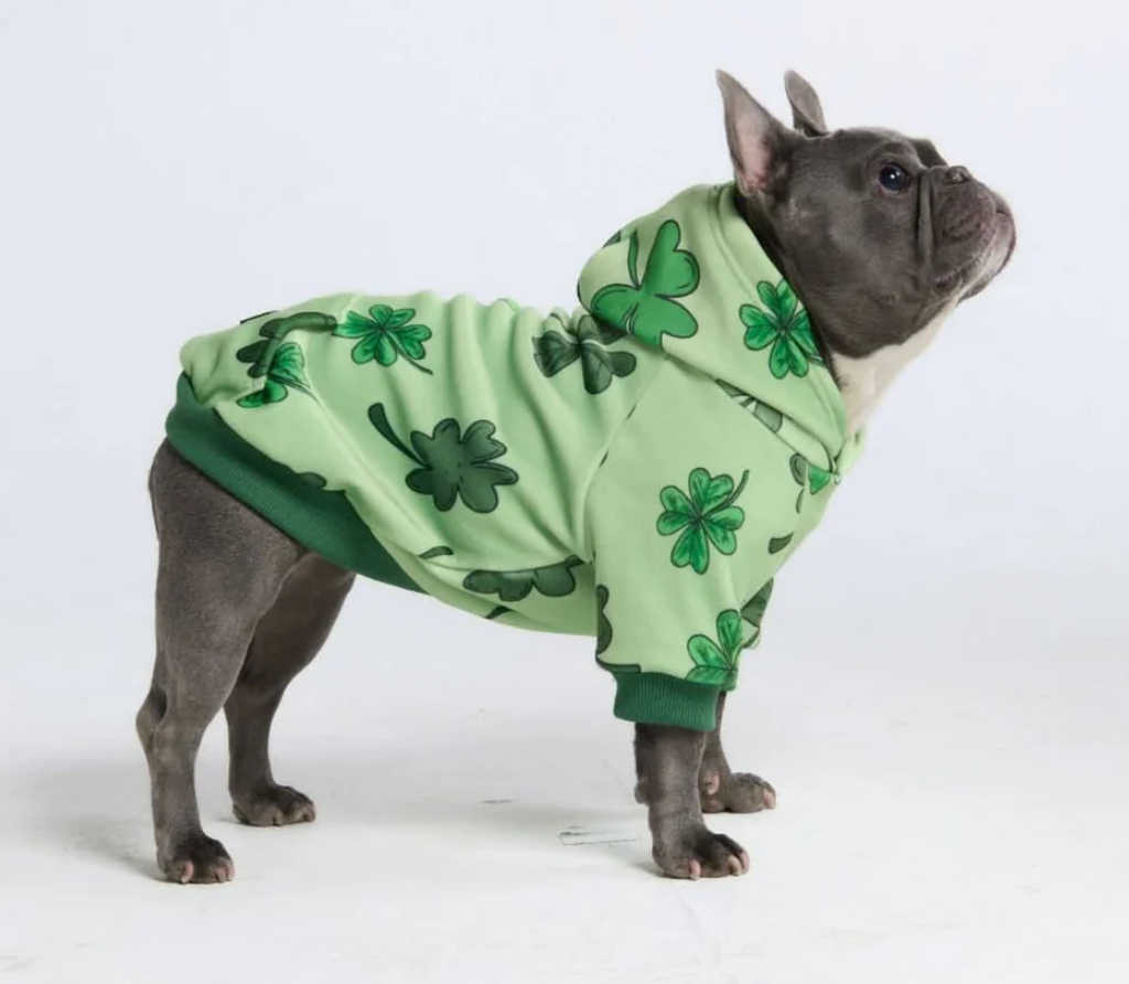 St. Paddy's Dog Hoodie - Light Green