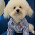 Nantucket Blue + White Striped Button Up