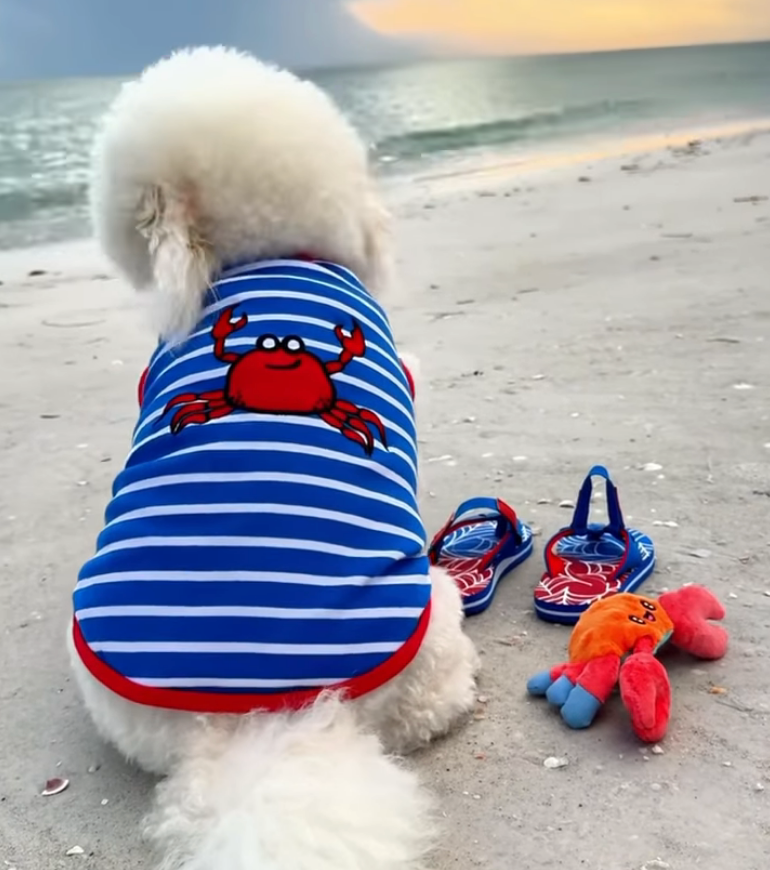 The Worthy Dog - Crab Tee Dog Shirt, Royal Blue/White