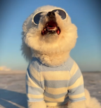 Ships Ahoy Blue + White Striped Sweater
