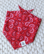 Hello Dolly Red Paisley Dog Bandana