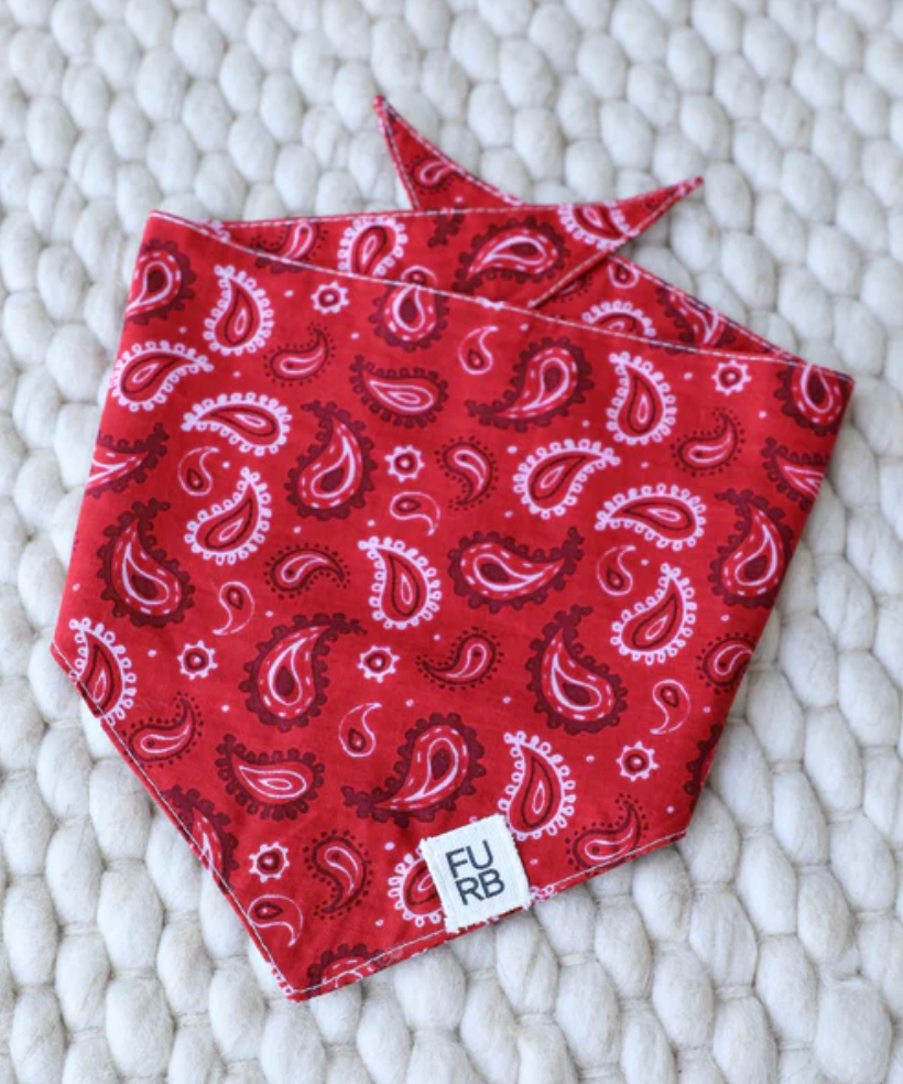 Hello Dolly Red Paisley Dog Bandana