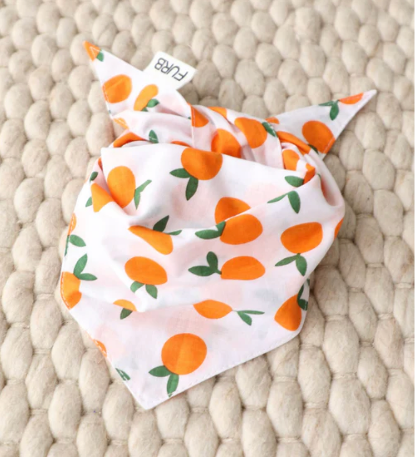 Main Squeeze Pup Dog Bandana