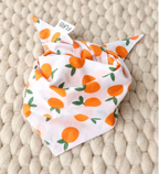 Main Squeeze Pup Dog Bandana