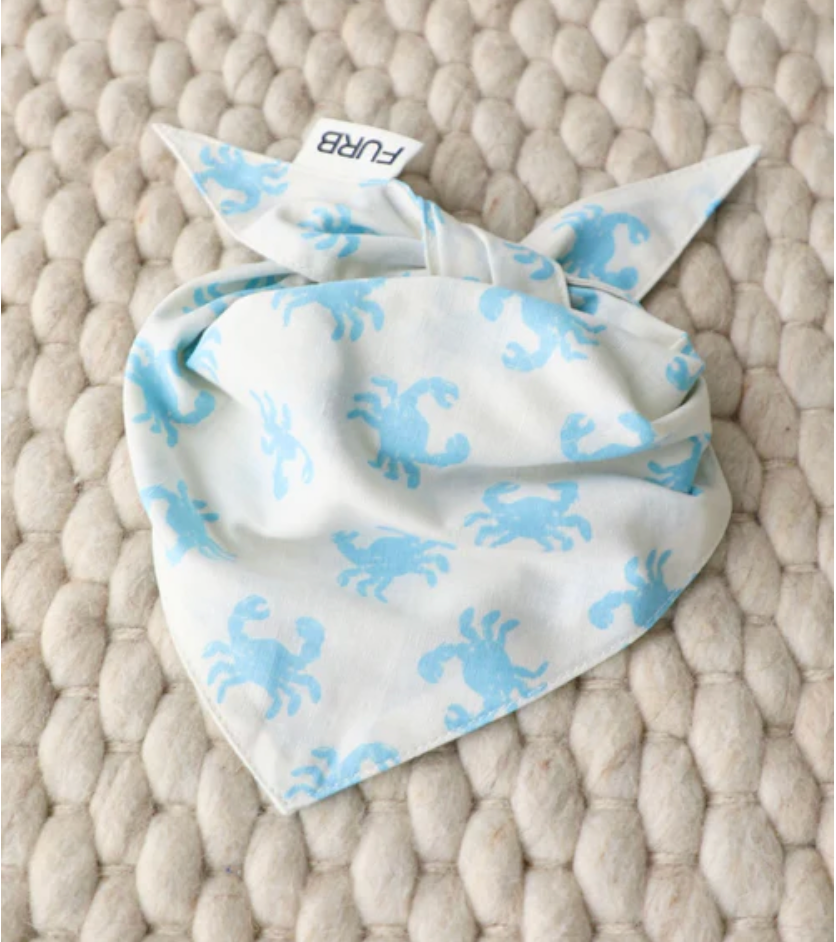 In a Pinch Blue Dog Bandana