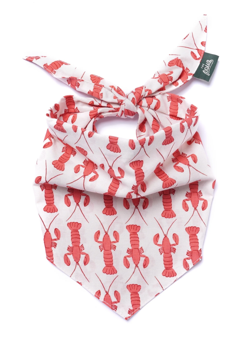 The Paws Lobstah Dog Bandana