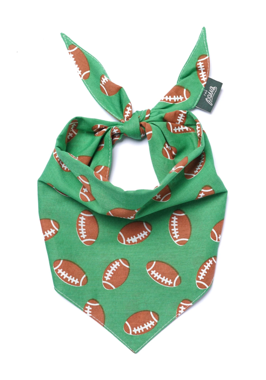 The Paws Defender Dog & Cat Bandana, Green