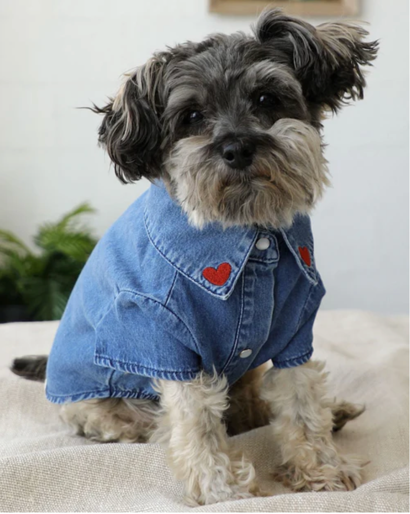 Boot Scootin' Denim Dog Shirt