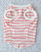 Pup Rally Peach + Ivory Striped Dog Tank