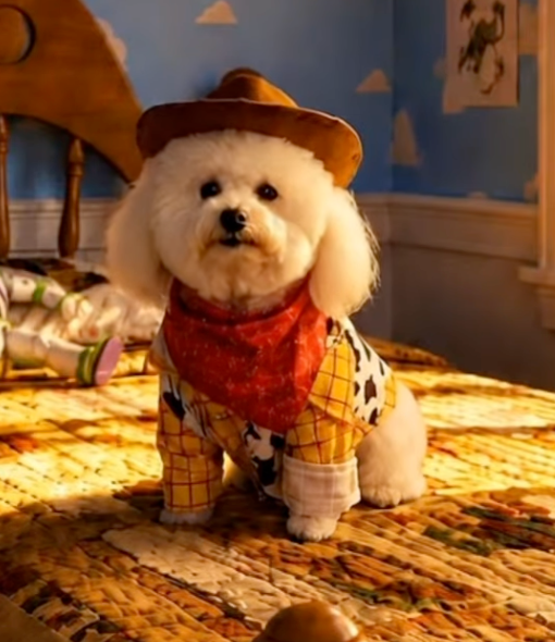 Rubie's Costume Company Toy Story Woody Dog Costume