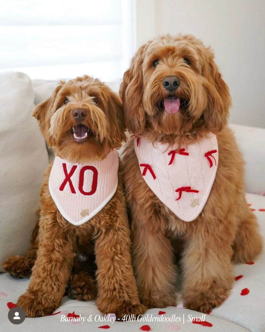BANDANA | LOVE YOU LIKE XO, BLUSH