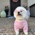 Camden Pink + Ivory Striped Dog Sweatshirt