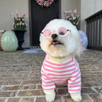 Camden Pink + Ivory Striped Dog Sweatshirt